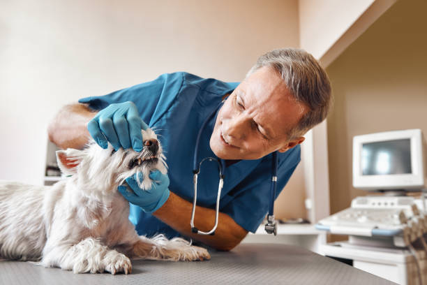 Best Emergency Tooth Extraction in Cherryvale, SC